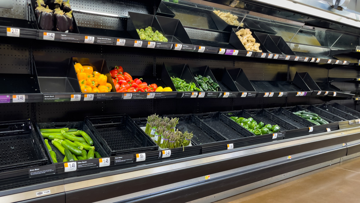 South african food producers under pressure daily investor
