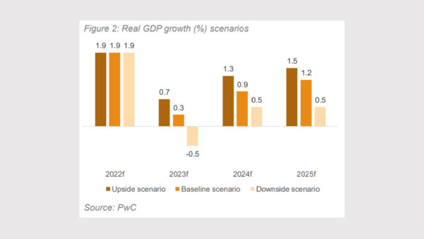 Private sector gives hope for South African GDP growth – Daily Investor