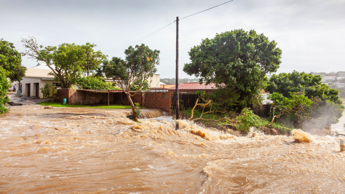 Climate change intensifies devastating Western Cape floods – Daily Investor