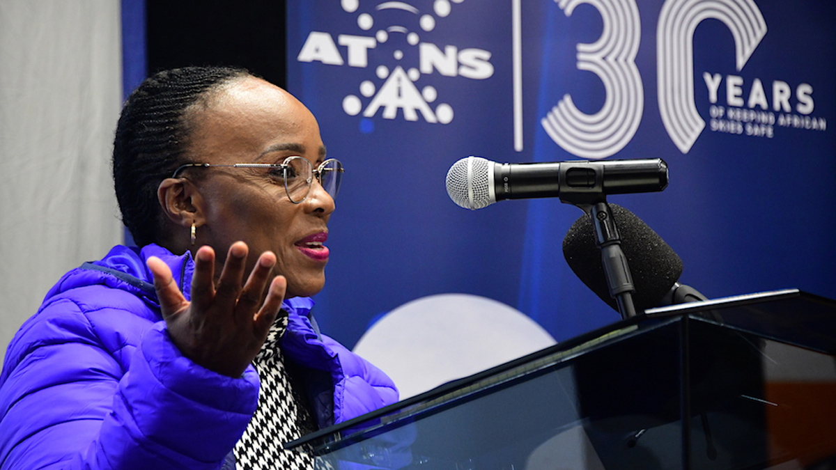 Colllen Msibi Transport Minister robbed in highway ambush – Daily Investor