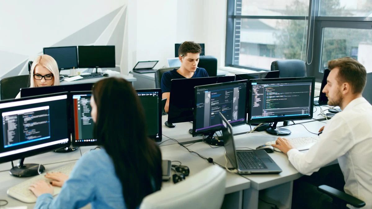 Avoid high licensing fees by building your own software – Daily Investor