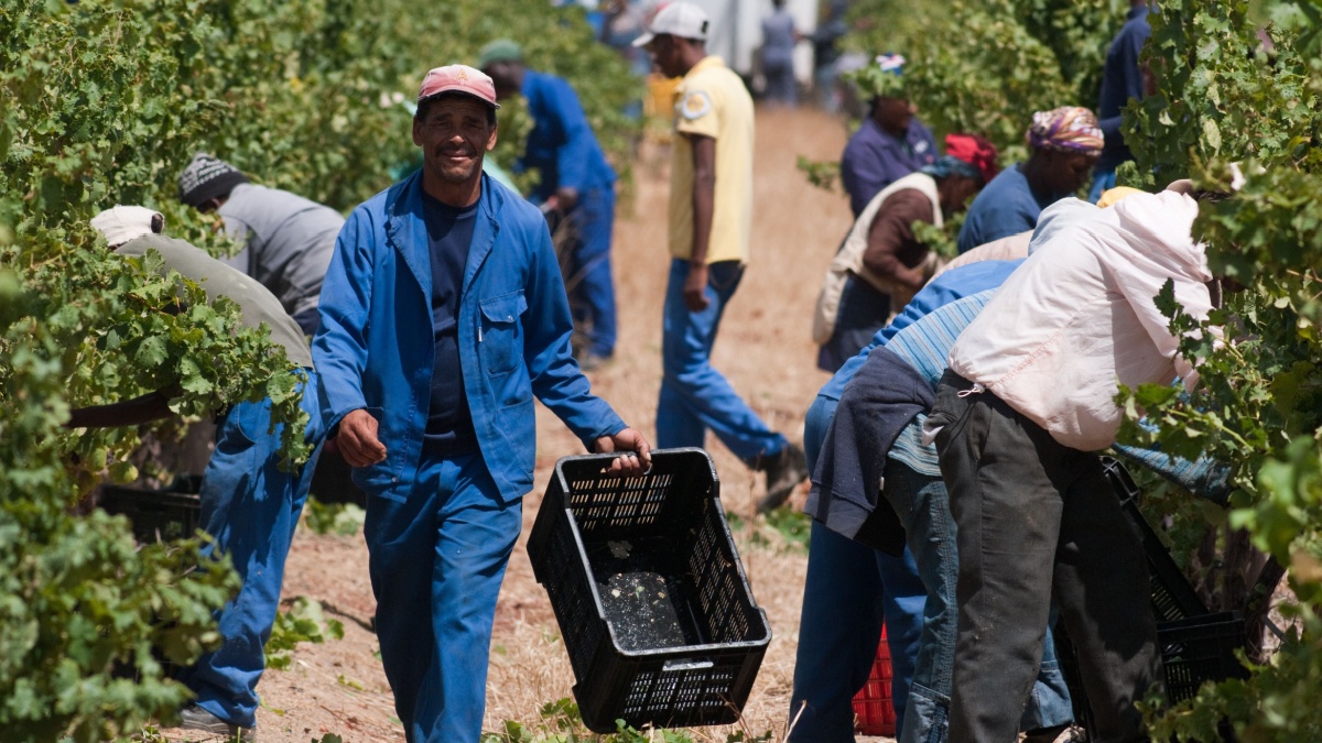 Big win for South African farmers – with a warning – Daily Investor