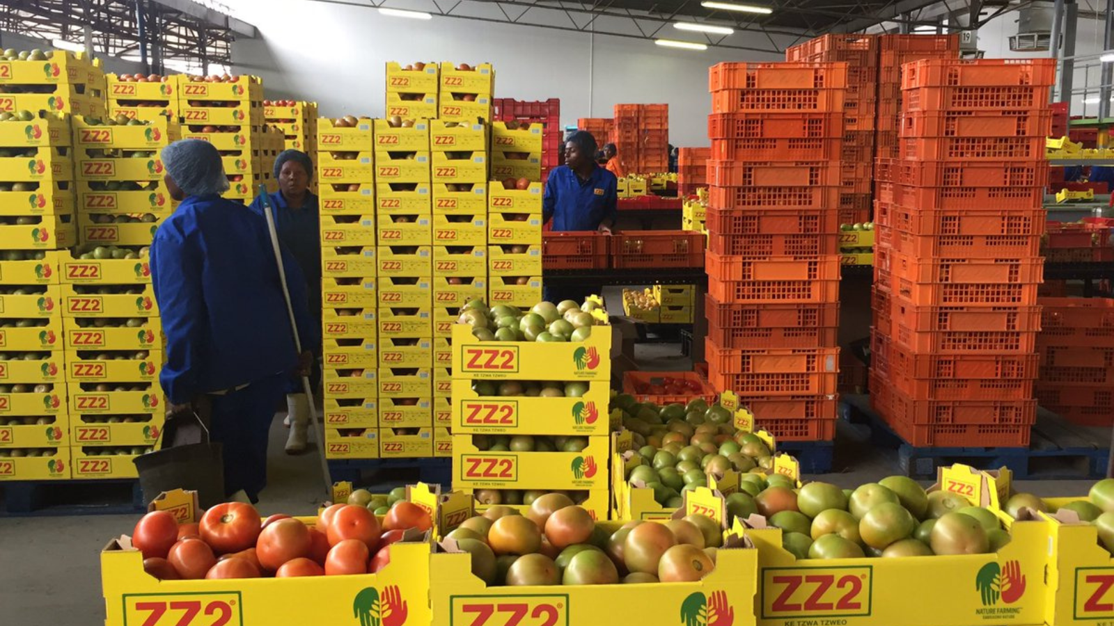 The 123-year-old family-owned South African company that is the